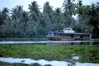 Backwater 10 Kerala