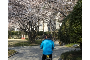 002-24690-Coree-du-sud