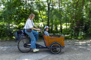 002-53415-France