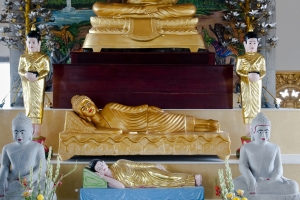 002-11713.dng