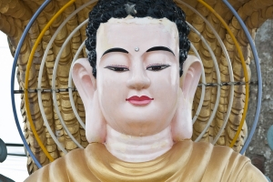 002-11818.dng