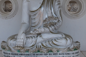 002-13372.dng