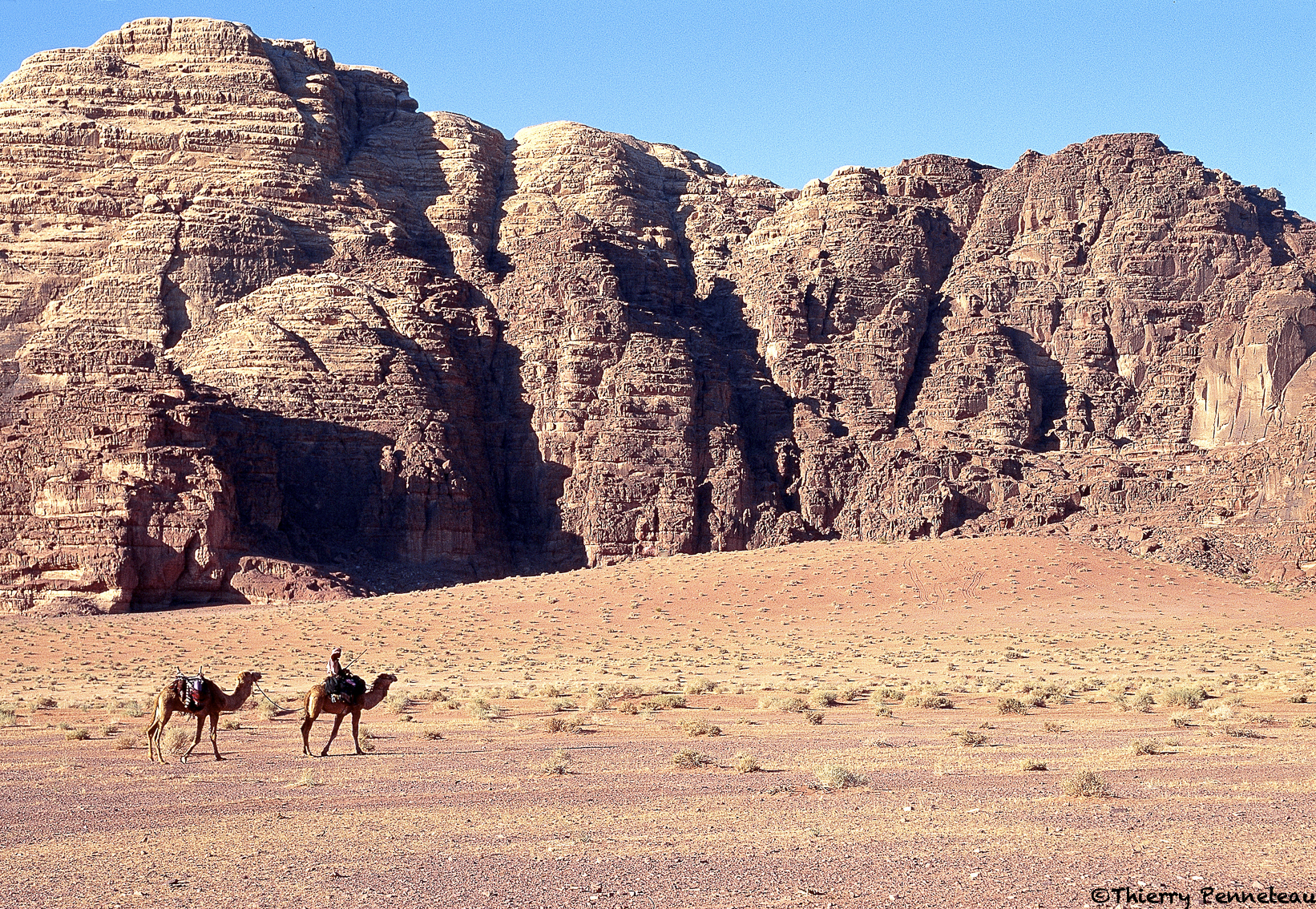Desert wadi run 16