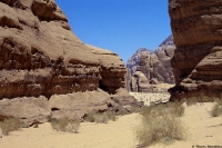 Desert wadi run 3
