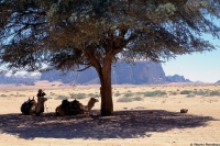 Desert wadi run