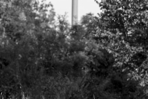002-41633.tif