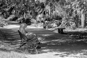 002-43834 Noir et blanc.tif