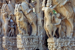 Horse court 2 Trichy