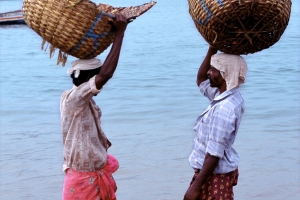 Kovalam 20 Kerala