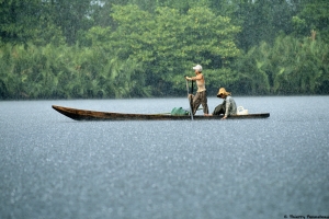 1_tp-2383Cambo