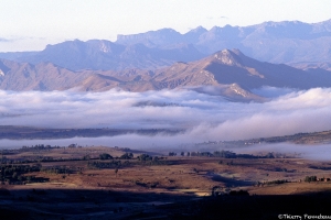 Brume