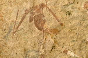 002-06683.dng