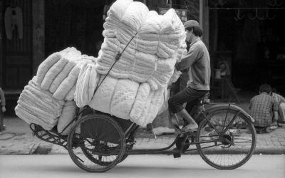 L’exposition « A bicyclette » sera à la médiathèque d’Erquy du 1 aout au 20 septembre 2025
