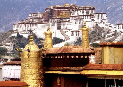 Tibet