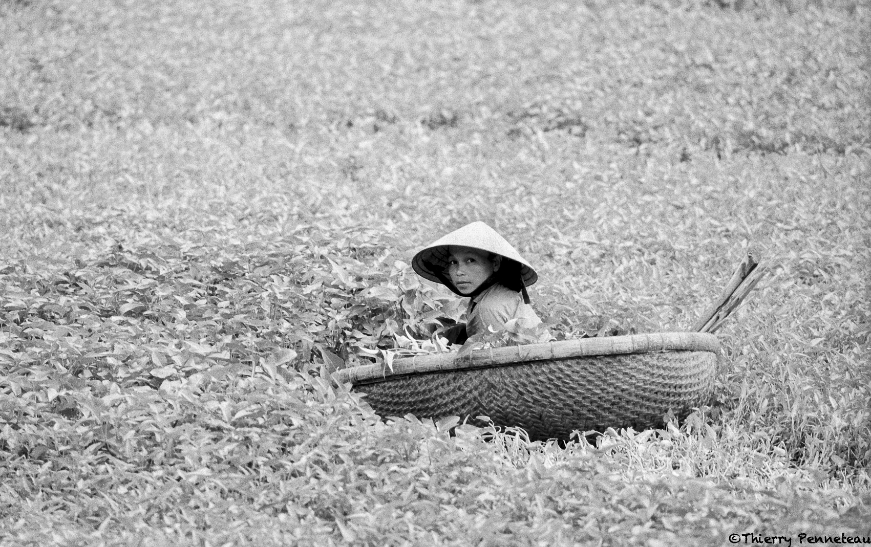 Balade Vietnamienne